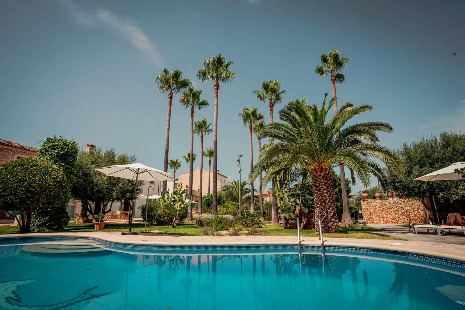Curolla pool surrounded by palm trees